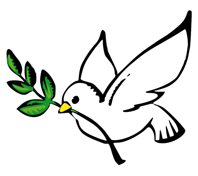 24,1-paloma-paz