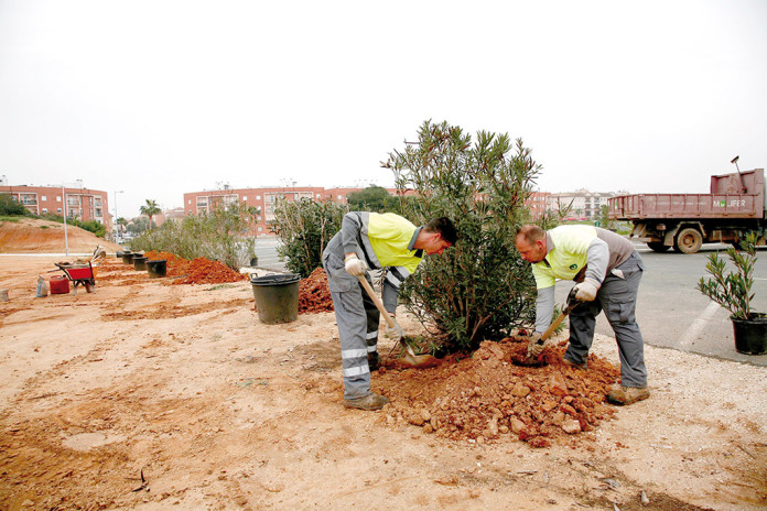 00-reforestacion-parque-dehesadonamaria Dehesa de Doña María
