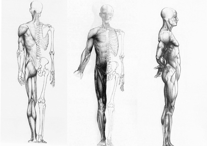 autopsia autopsia