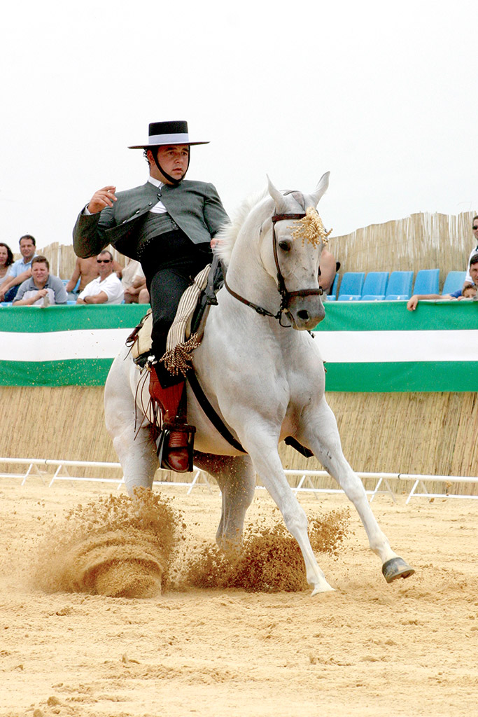 Concurso Nacional de Doma Vaquera Concurso Nacional de Doma Vaquera