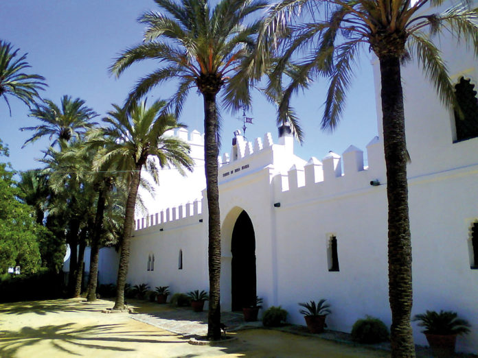 dona-maria Islam