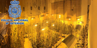 La Policía desarticula una plantación interior de marihuana Policía Marihuana