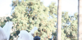 Crónica de la Cuaresma y la Semana Santa en Dos Hermanas (II) Semana Santa en Dos Hermanas