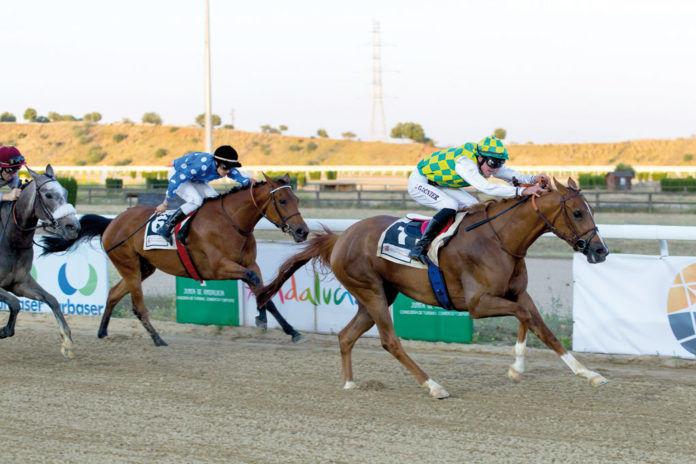 hipodromo-caballos-arabes Hipódromo