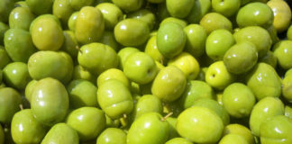 Los almacenes de Dos Hermanas, los que más aceituna exportan aceituna