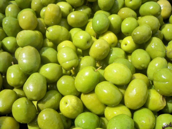 aceitunas02 aceituna