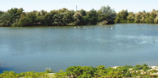 Ruta en bicicleta hasta la Laguna de Fuente del Rey por la Semana Europea de la Movilidad Semana Europea de la Movilidad