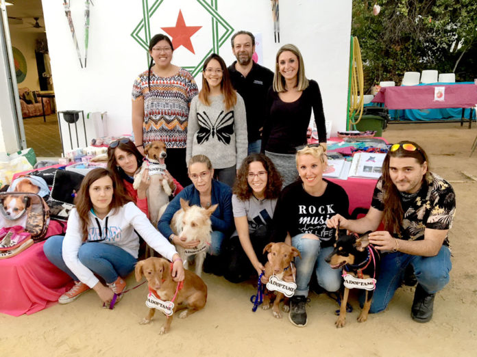 Fiesta-solidaria-Megacan Megacan