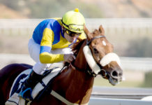 Captain Moonlite vuelve este domingo al Gran Hipódromo de Andalucía Captain Moonlite