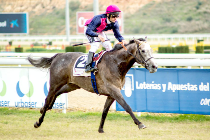 Borjafayos Hipódromo nazareno