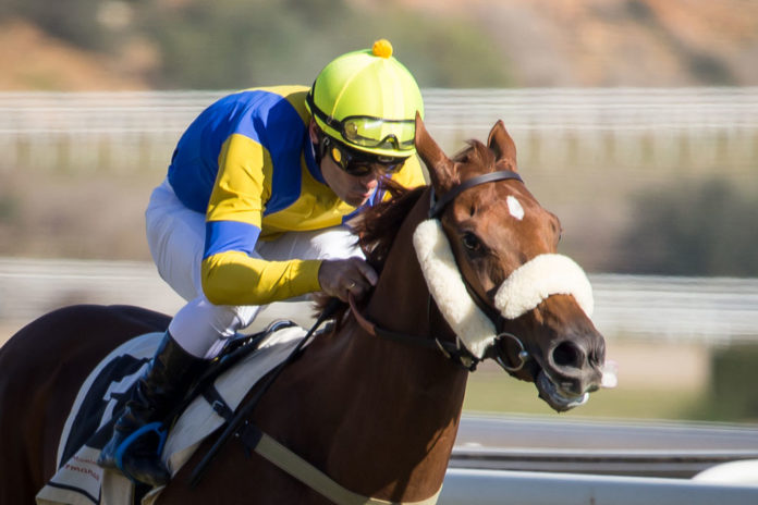 hipodromo-previa Borja Fayos