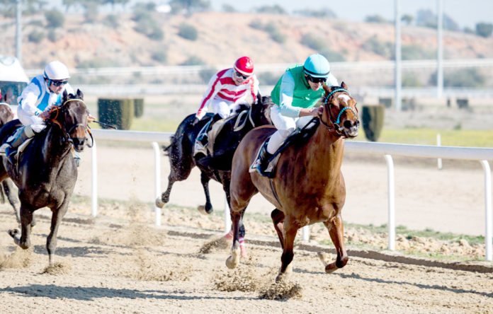 hipodromo0402 Gran Hipódromo de Andalucía