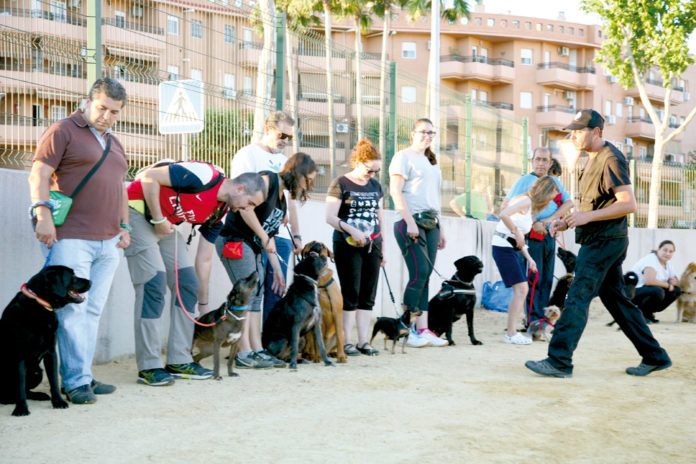 adiestramiento-canino_06 Escuelas Formativas y Talleres de Participación Ciudadana