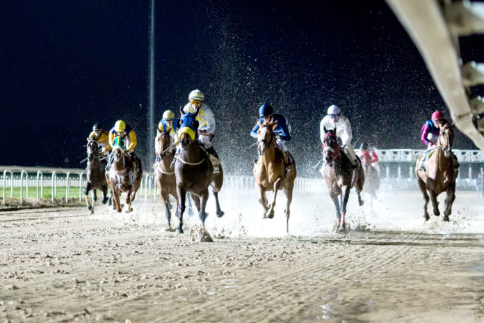 hiponocturnas Gran Hipódromo de Andalucía