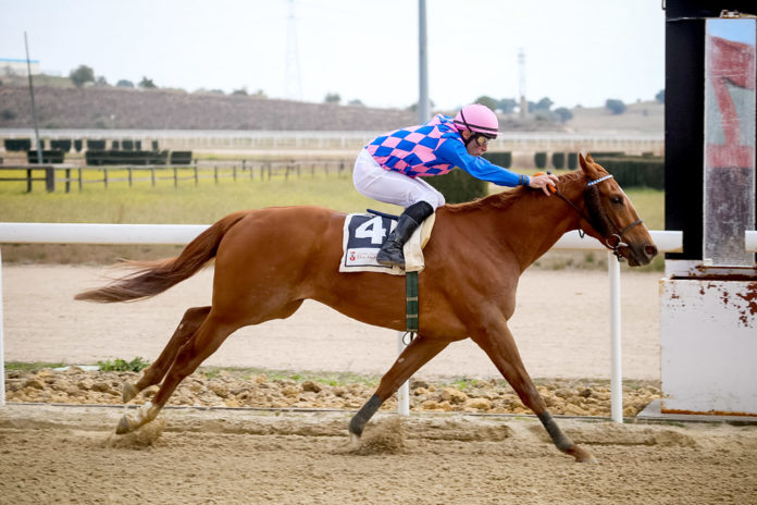 hipodromo Hipódromo