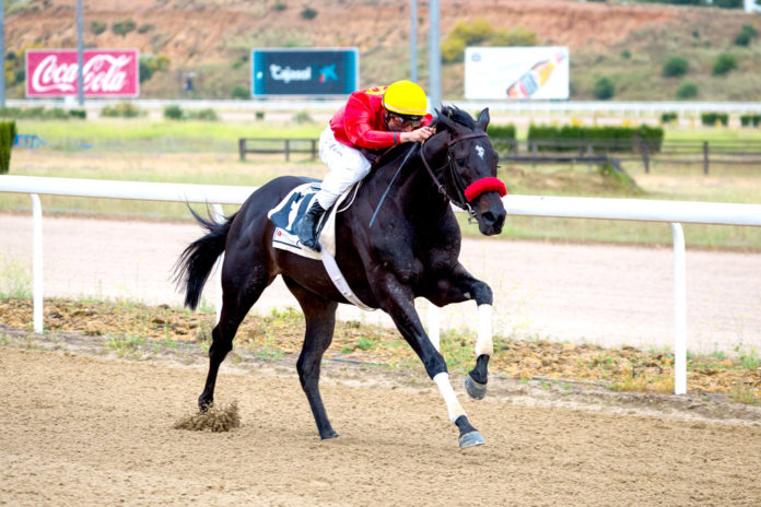 hipodromoIMG_3990 Gran Hipódromo de Andalucía