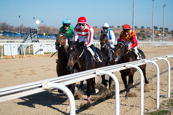 Hipodromo-carreras Gran Hipódromo de Andalucía