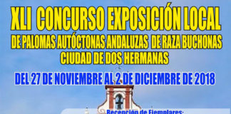 La Asociación Nazarena de Colombicultura celebra el XLI Concurso Exposición La Asociación Nazarena de Colombicultura