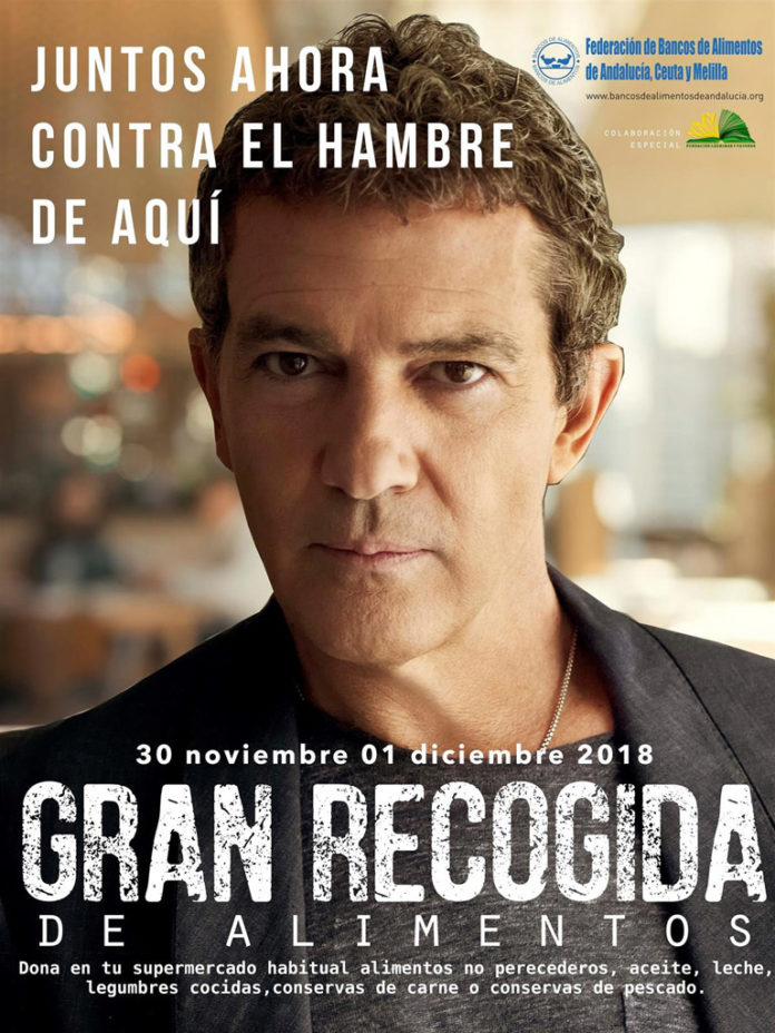 alimentos Banco de Alimentos de Sevilla