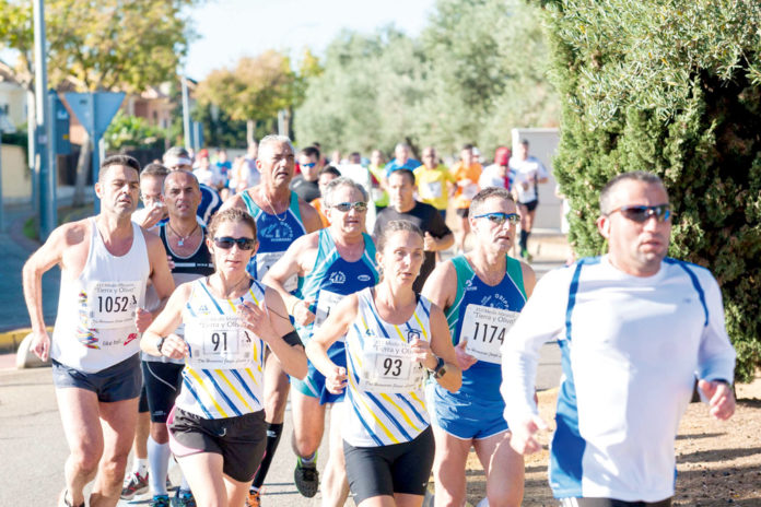 media-marathon Media Maratón Tierra y Olivo