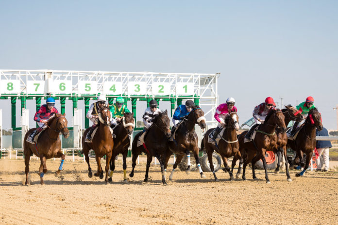 hipodromo-carrera Gran Hipódromo de Andalucía