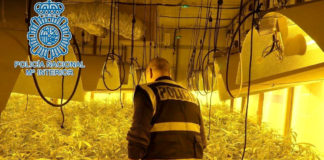 Prisión para dos individuos propietarios de una plantación de marihuana ‘indoor’ marihuana ‘indoor’