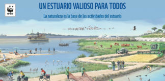 La exposición Entremareas estará el miércoles en Dos Hermanas Entremareas