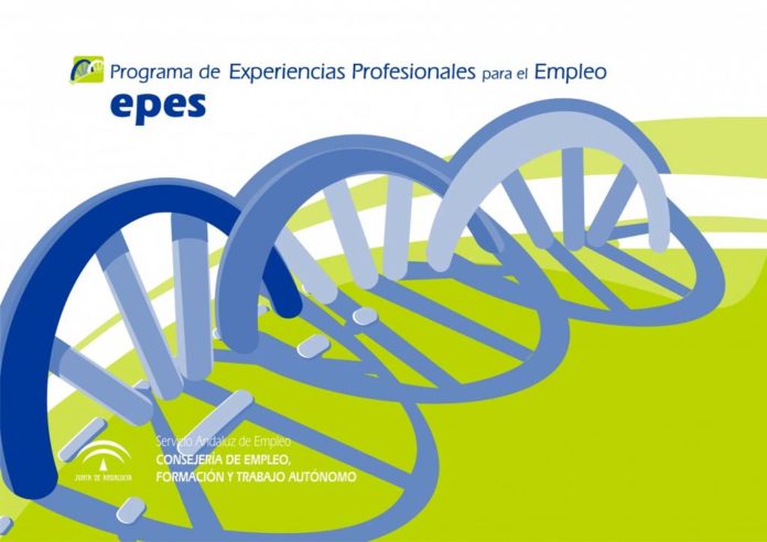 epes Programa EPES
