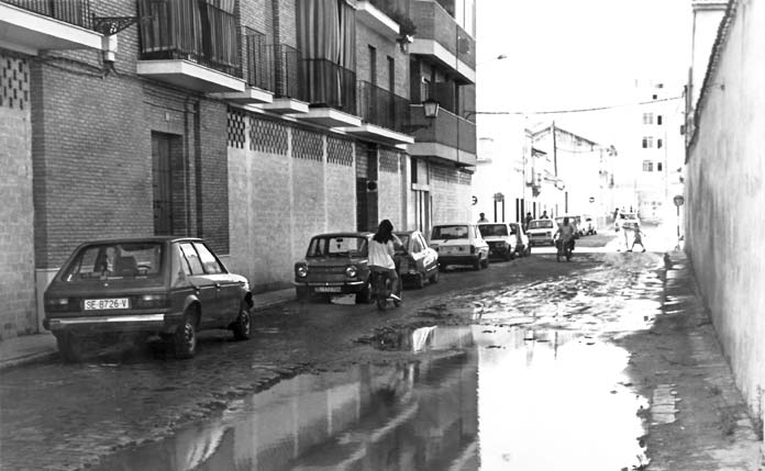Corpus