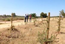 Un corredor verde por el Guadaíra une Sevilla y Dos Hermanas corredor verde por el Guadaíra