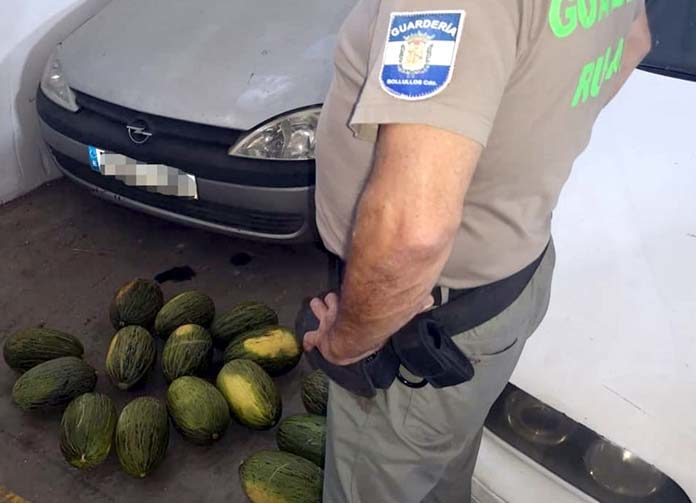 detenido-por-el-robo-de-melones Dos nazarenos investigados
