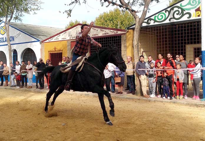 carreracintasacabalo V Carrera de Cintas a Caballo