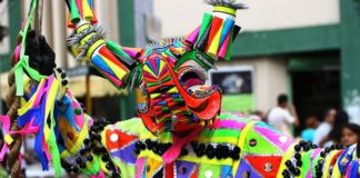 El carnaval de Dos Hermanas 2021 tendrá actividades virtuales Concurso de Disfraces de la Cabalgata