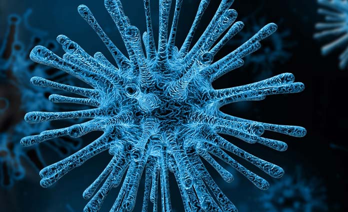 coronavirus residencia de Huerta Palacios