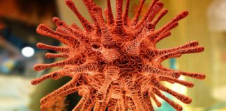El AGS Sur de Sevilla registra 295 afectados por coronavirus afectados por Covid-19