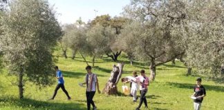 Orientación en Dos Hermanas: pioneros en esta modalidad deportiva Orientación