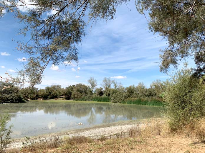 lagunadefr La Laguna de Fuente del Rey