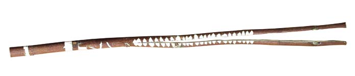 Parra