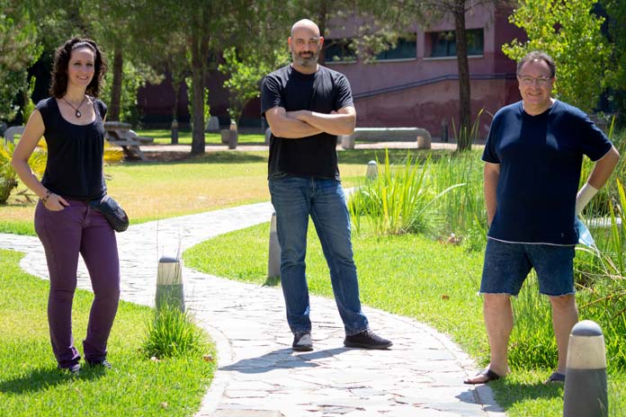 alzheimer nuevo fármaco para tratar Alzheimer
