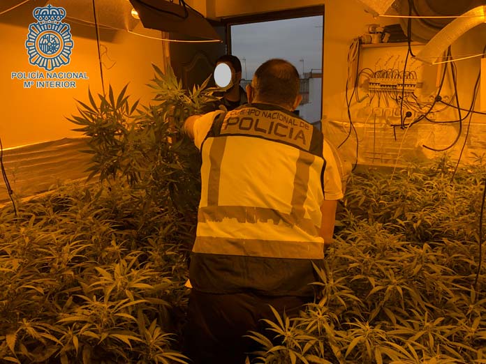 plantacion-marihuana-domicilio-indoor marihuana en una nave