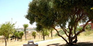 Prohibido el fuego y las barbacoas en los parques nazarenos fuego y las barbacoas