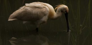 Premiados y premiadas del Concurso de Fotografía «Laguna de Fuente del Rey» Laguna de Fuente del Rey