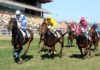 La nueva temporada de carreras en el Hipódromo comienza temporada de carreras