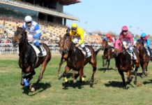 La nueva temporada de carreras en el Hipódromo comienza temporada de carreras