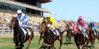 La nueva temporada de carreras en el Hipódromo comienza temporada de carreras