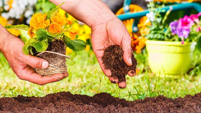 plantar-flores Talleres infantiles gratuitos