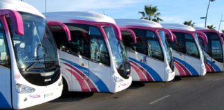 Autobús para disfrutar de los partidos del Real Betis Balompié Autobús