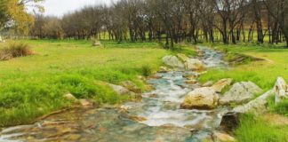 El arroyo Culebras contará con agua todo el año arroyo Culebras