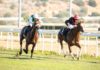 El Gran Hipódromo de Andalucía retoma las jornadas de carreras Gran Hipódromo de Andalucía