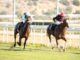 El Gran Hipódromo de Andalucía retoma las jornadas de carreras Gran Hipódromo de Andalucía
